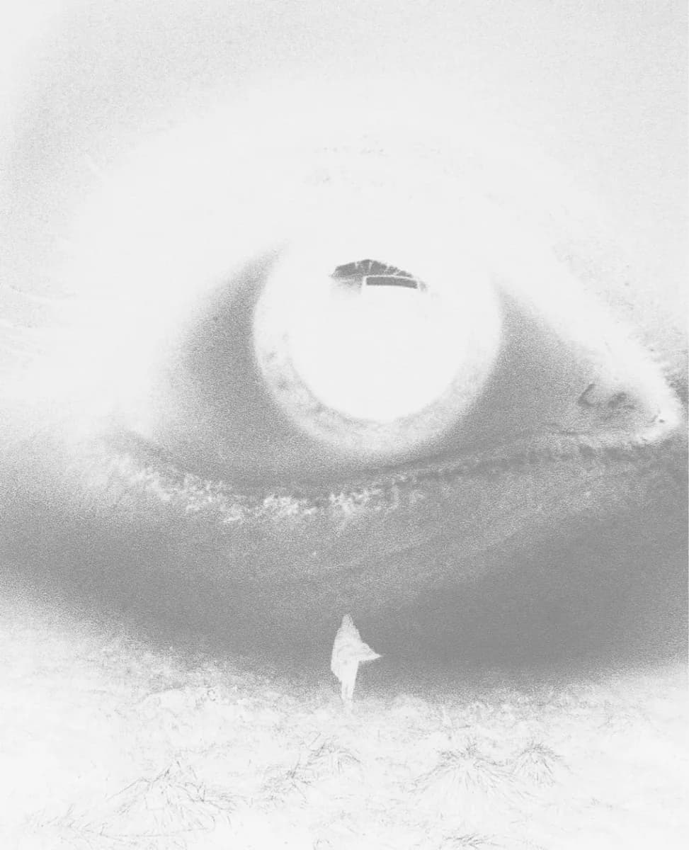 EYE [01]